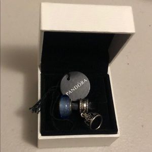 Pandora Cinderella charms